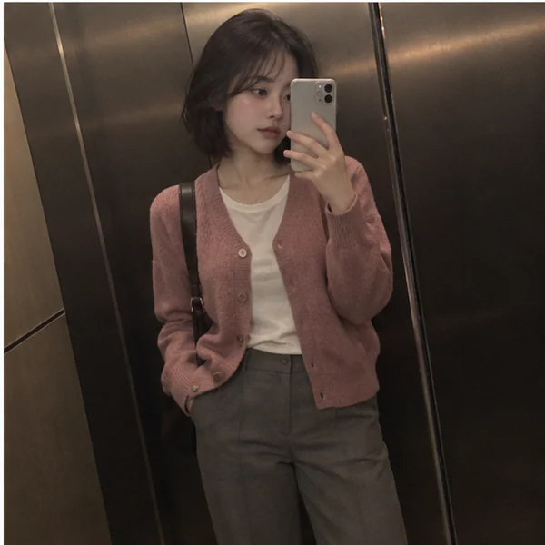 논현동 마리 케어 안내 이미지